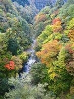 三途川渓谷・写真