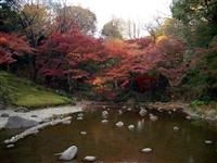 小石川後楽園・写真