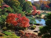 六義園・写真