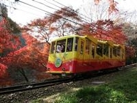 高尾山・写真