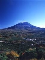 楽天トラベル 山梨県 紅葉 スポット