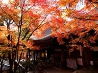 石山寺・写真