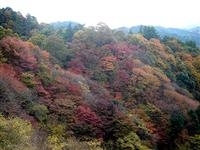 比叡山延暦寺・写真