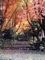 鶏足寺（旧飯福寺）・写真