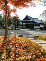 京都御苑・写真