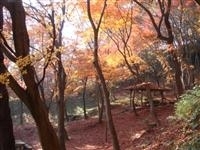 摂津峡公園・写真