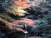 犬鳴山・写真