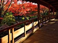 姫路城西御屋敷跡庭園 好古園・写真
