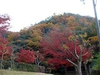 深山峡・写真