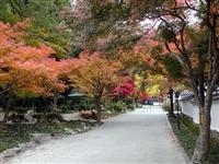 紅葉谷公園・写真