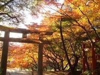 宝満宮竈門神社・写真