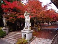 呑山観音寺・写真