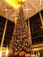 シェラトン・グランデ・トーキョーベイ・ホテル クリスマス・デコレーション・写真