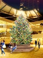 横浜ベイクォーター クリスマスイルミネーション・写真