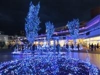Terrace Mall 湘南 Xmas Illumination 2016・写真