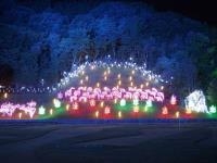 メナード青山リゾート ライトアップ・写真