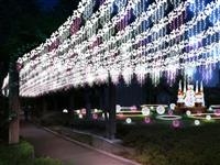 天満・桜ノ宮 光のエレガンス OAPクリスマス2016・写真
