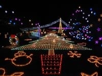 広島市植物公園 花と光のページェント 〜クリスマス夜間開園〜・写真