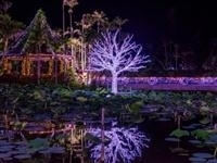 東南植物楽園「ひかりの散歩道2016〜TONAN Night Decoration〜」・写真