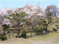 有珠善光寺自然公園・写真