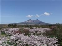 青葉ヶ丘公園・写真