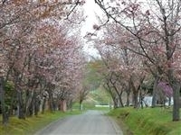 古丹別緑ヶ丘公園・写真