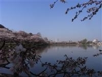 高松公園・写真