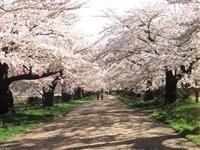 市立公園展勝地・写真