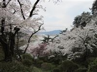 きみまち阪県立自然公園・写真