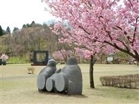 日本国花苑・写真