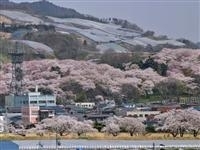 烏帽子山公園・写真