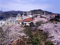 かみね公園・写真