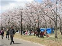 神之池緑地公園・写真