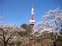 八幡山公園・写真