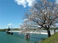 狭山湖・写真