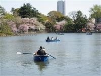 千葉公園・写真