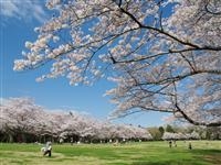 泉自然公園・写真