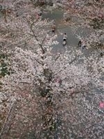 太田山公園・写真