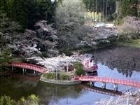 茂原公園・写真