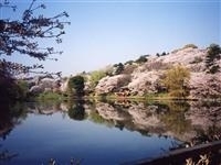 県立三ツ池公園・写真