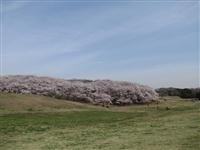 根岸森林公園・写真