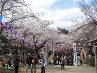 衣笠山公園・写真