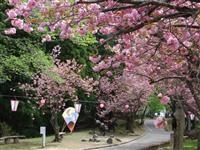 倶利伽羅県定公園・写真