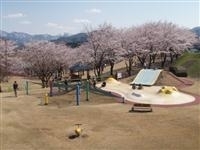 桜ヶ池・写真