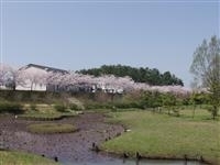 白虎山公園・写真