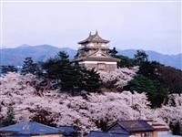 丸岡城（霞ヶ城公園）・写真