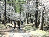 富士山吉田口登山道中ノ茶屋エリア・写真