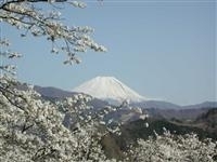 大法師公園・写真