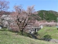 霞間ヶ渓公園・写真