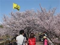 明石公園（愛知県）・写真